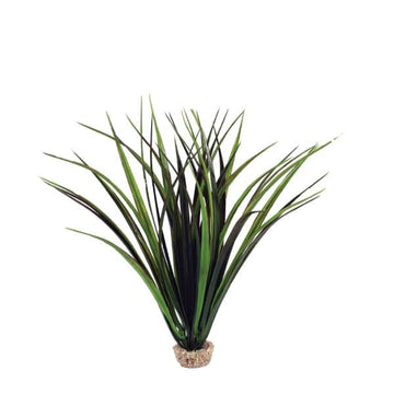 Plant-Med
